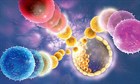 Стволовые клетки в космецевтике – что это такое и как работает?
